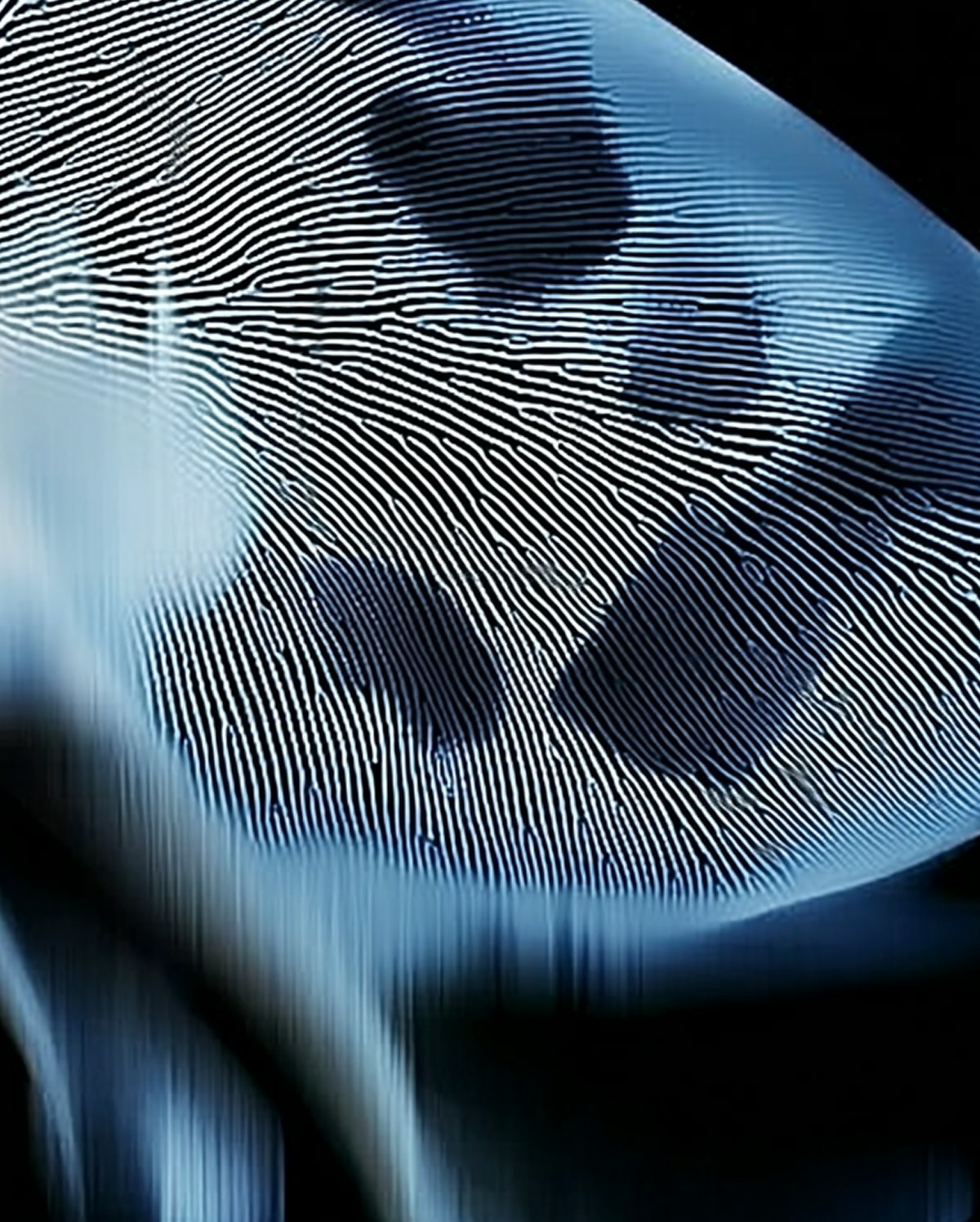 Flowing blue sculptural forms with intricate contour lines